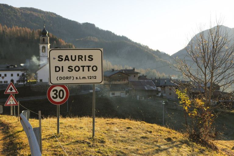 sauris