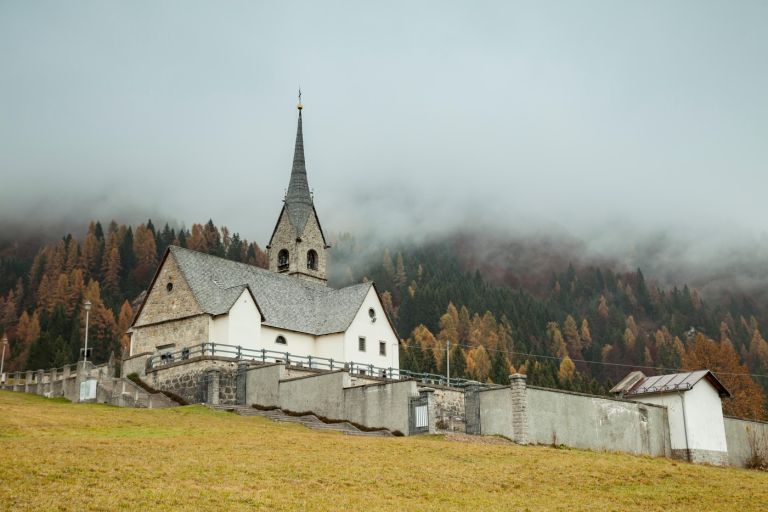 sauris