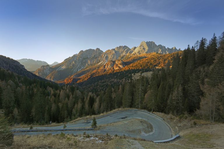 sauris