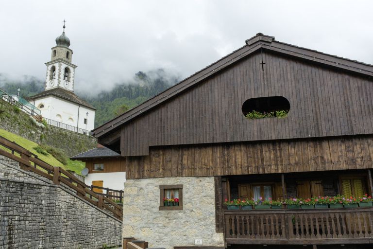 sauris