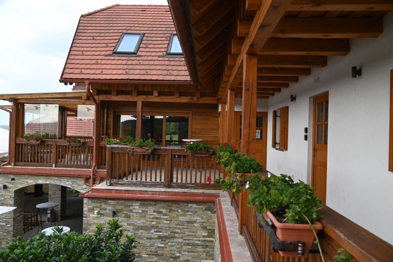 gornji-senik, slovenska-vzorcna-kmetija, obletnica, porabje