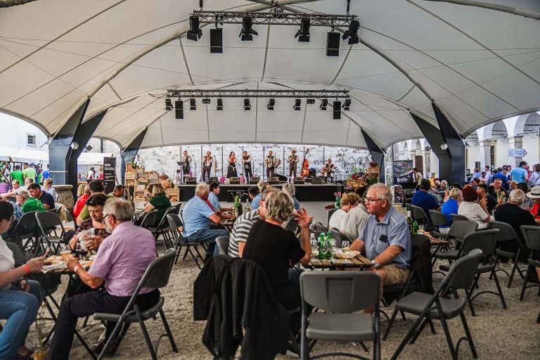 Grad Paviljon praznik kruha vina salam foto Obcina Brezice.jpg