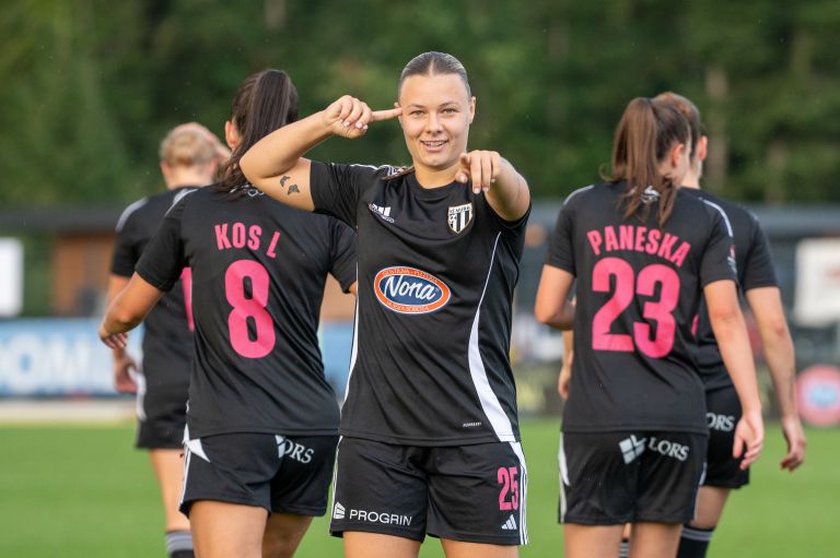 sznl, znk-radomlje, znk-mura-nona, 2-krog