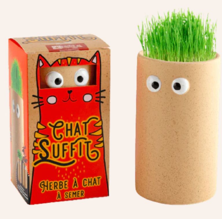 Mačke i biljke.png