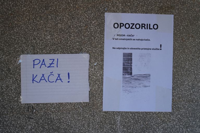opozorilo, kača