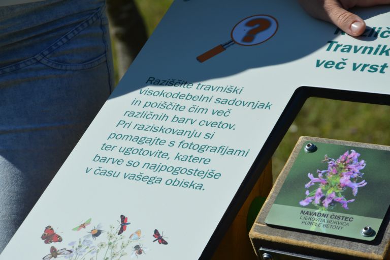 grad, beeaware, ucilnica-na-prostem, oprasevalci