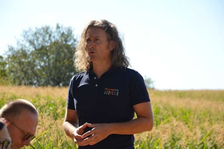 grad, beeaware, ucilnica-na-prostem, oprasevalci