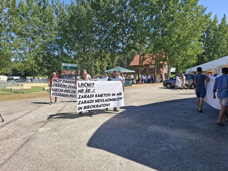 agra, prasicereja, protest, kastracija-pujskov