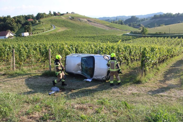 pge-krsko, avto-v-vinogradu