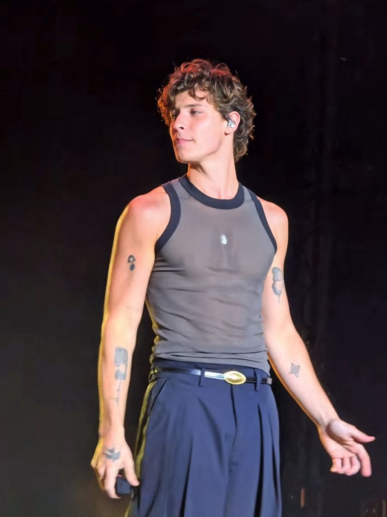 shawn mendes 2.jpg
