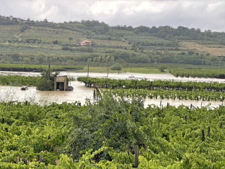 poplave, vanganel
