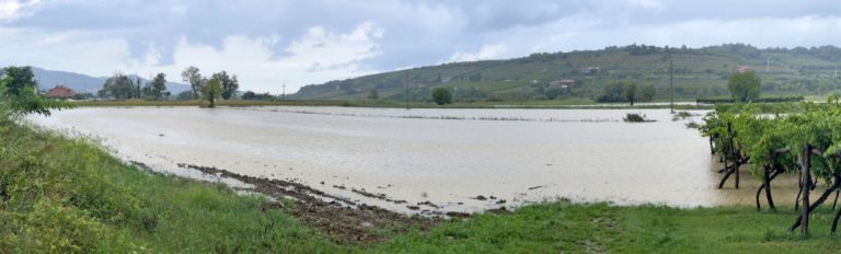 poplave, vanganel
