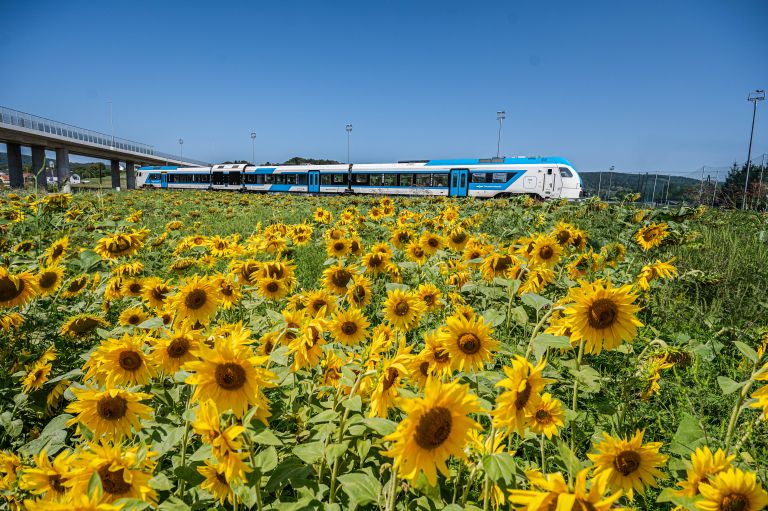 IVANČNA GORICA-Foto Gašper StoparOrig (1).jpg