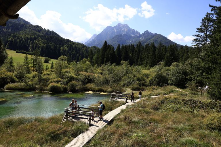 narava zelenci kranjska gora.JPG