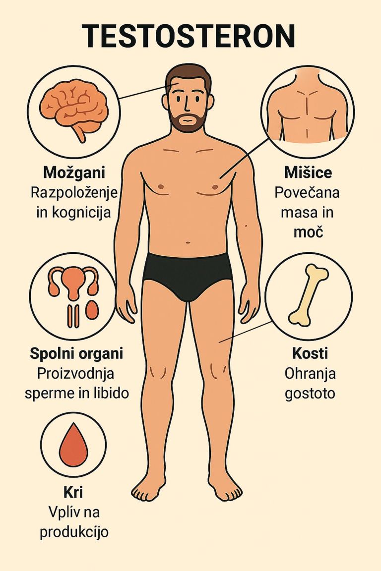 testosteron3.jpg