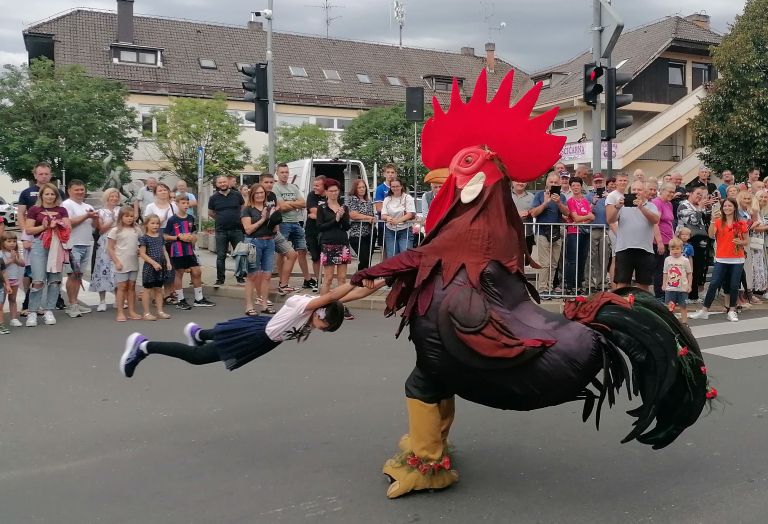 D35_PovorkaPetelin1.jpg