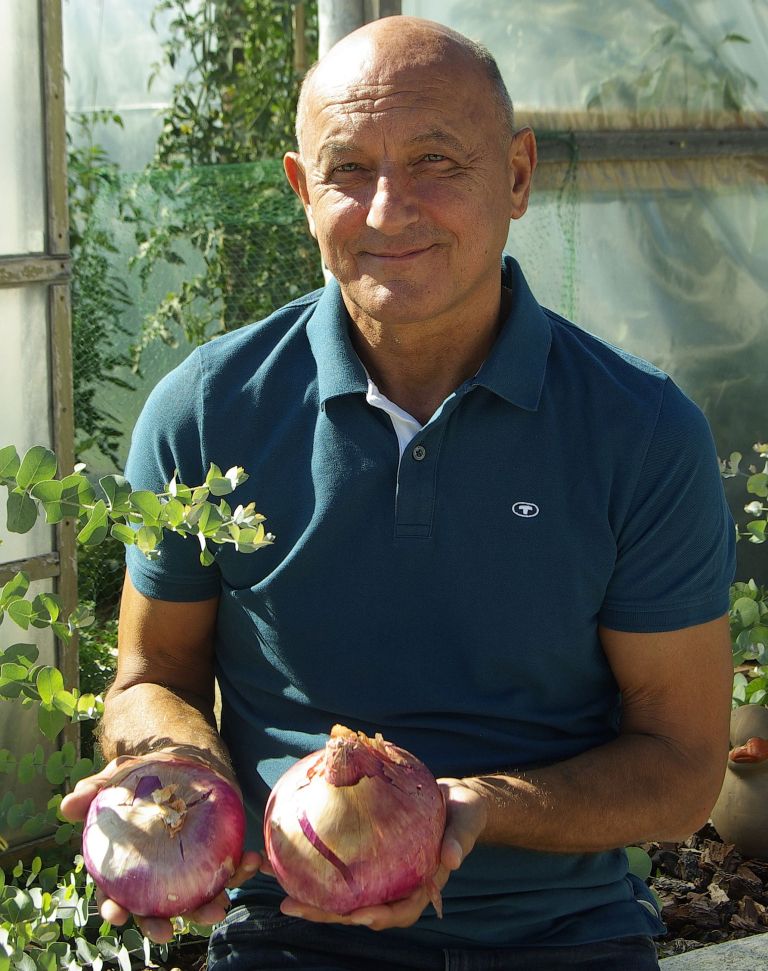 ZivaPetelinToneTurkCebula.jpg