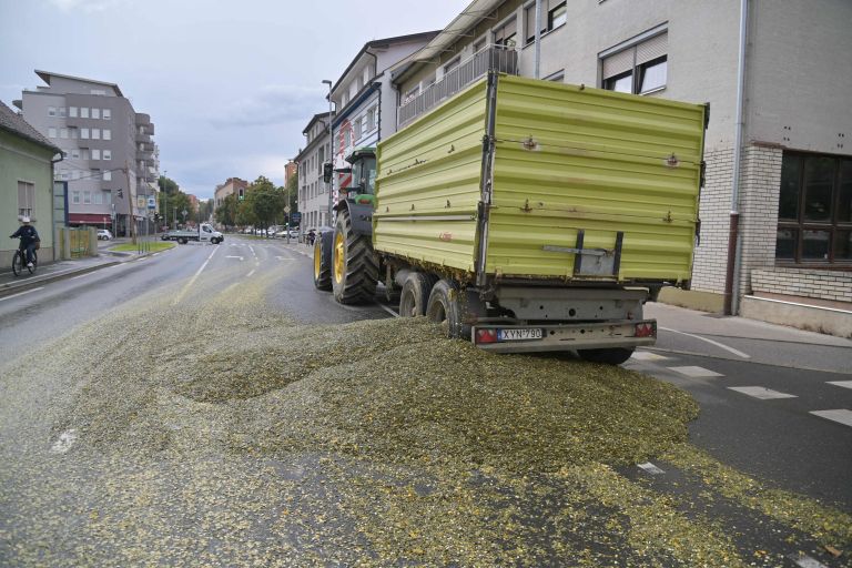 razsut-tovor, lendavska-ulica, bučno-seme