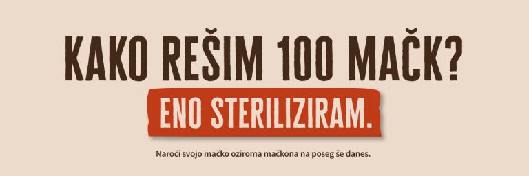 sterilizacija-in-kastracija-mack