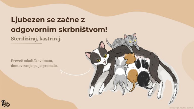 sterilizacija-in-kastracija-mack