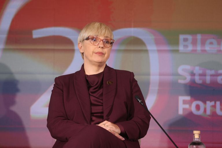 nataša pirc musar, blejski strateški forum