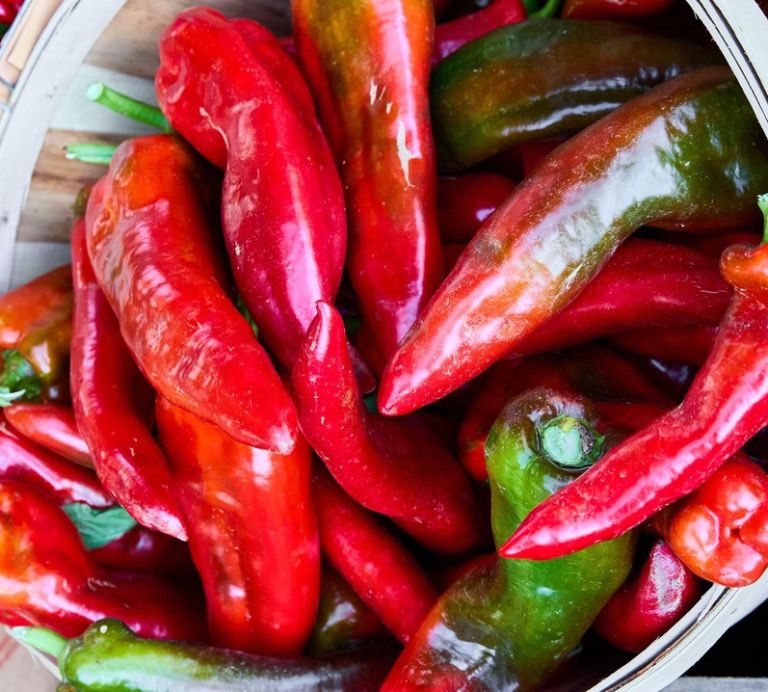 rdeča paprika