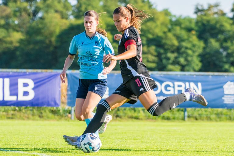 sznl, 4-krog, znk-mura-nona, znk-gazon, bratonci