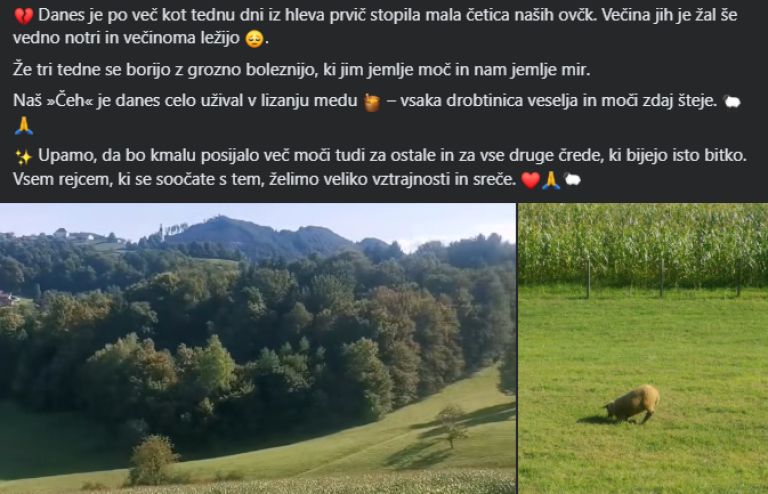 Posnetek zaslona 2025-09-07 140949.png