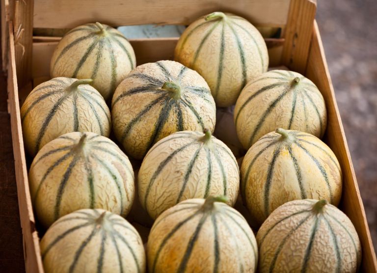 melona