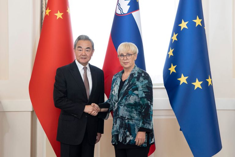 Wang Yi, nataša pirc musar