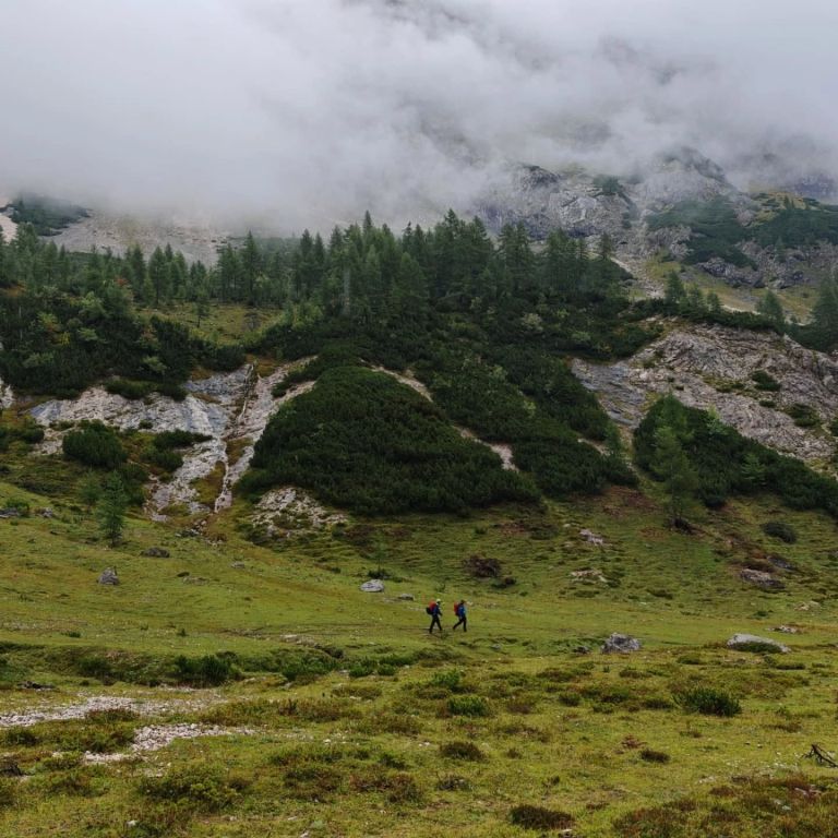 triglav, iskalna-akcija