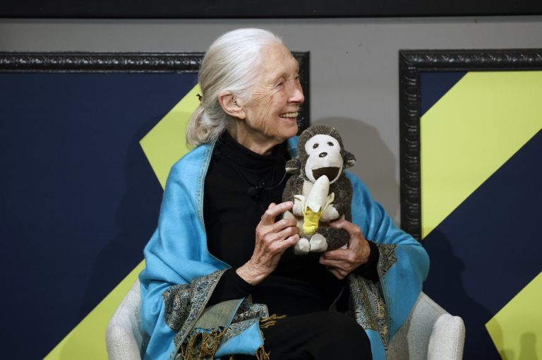 jane-goodall