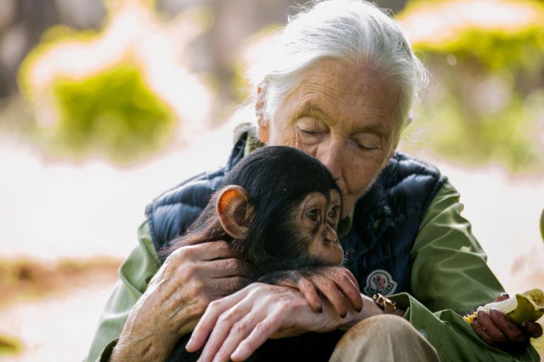 jane-goodall