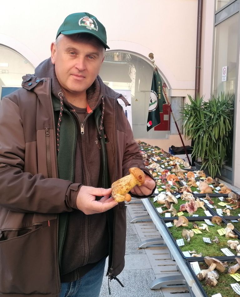 gobe, razstava, novo-mesto