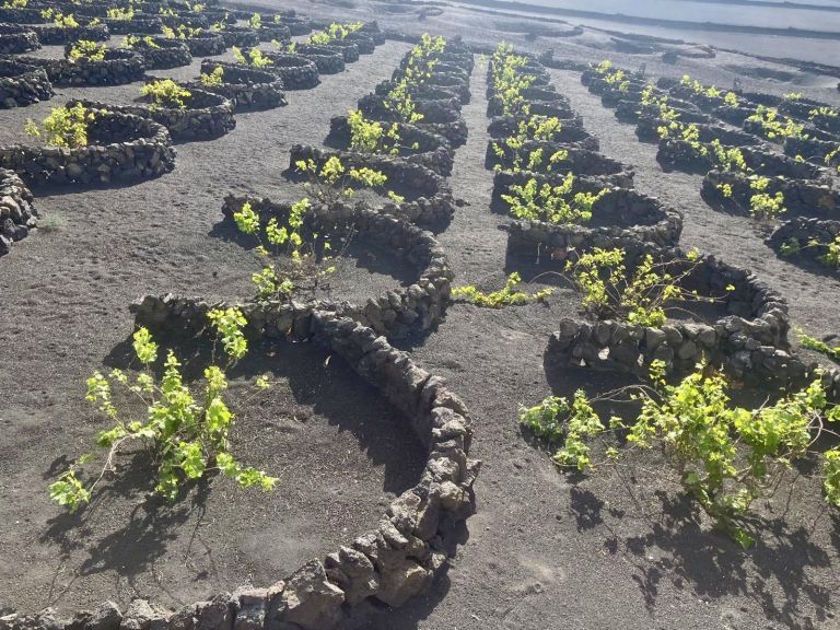 lanzarote 6