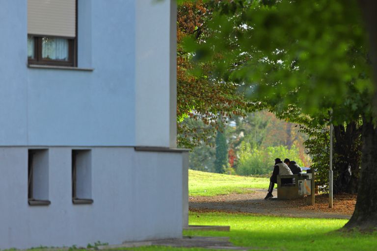 brezdomci, klopce, bloki, naselje, umazanija