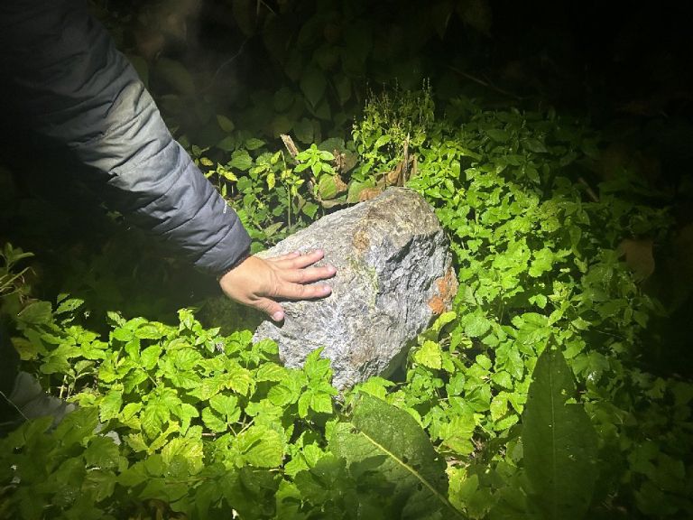 skala, vlak, trcenje