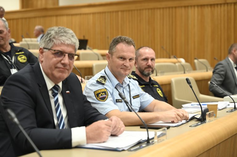 Boštjan Poklukar, Damjan Petrič.jpg