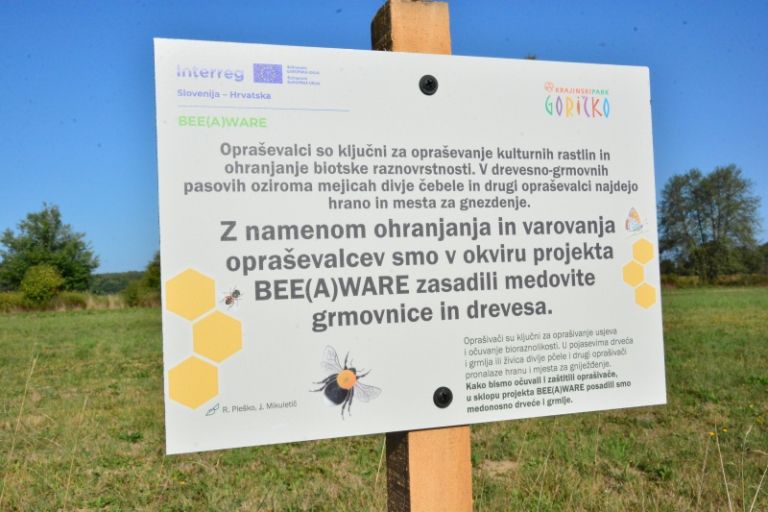 317598168917._Ozna_enih_je_bilo_12_mejic.jpeg