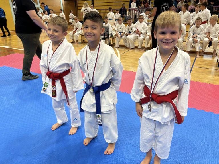 karate-klub-mirna-pec