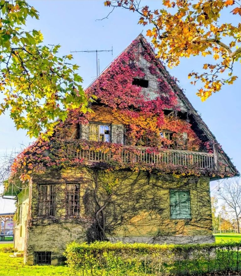 vila-marija, radenci