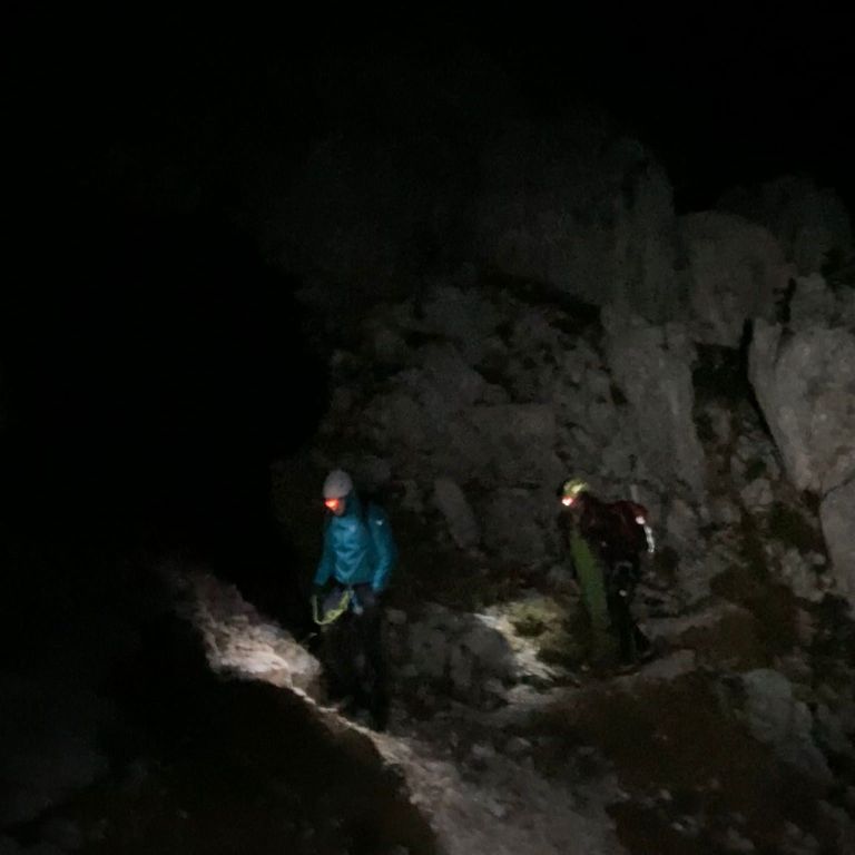 reševanje, plemenice