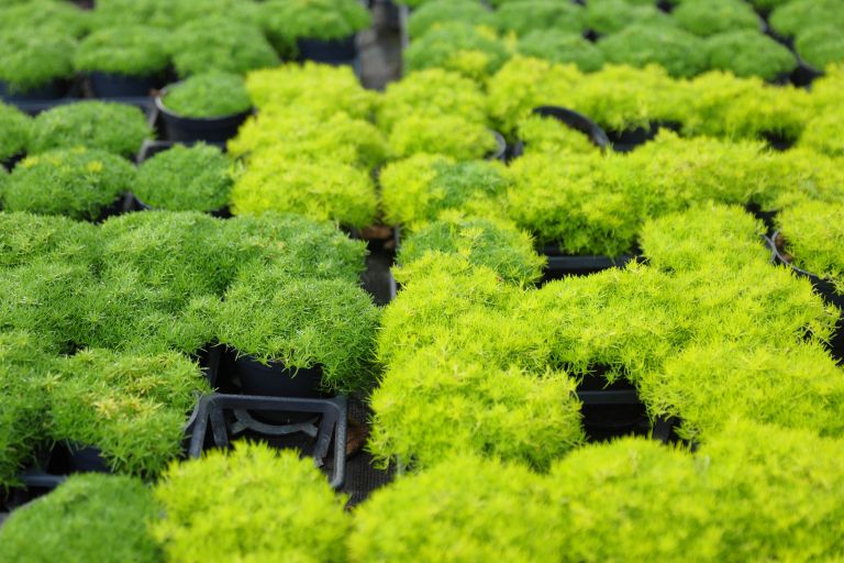 cg_dan_spomina_5-NI NUJNA.jpg