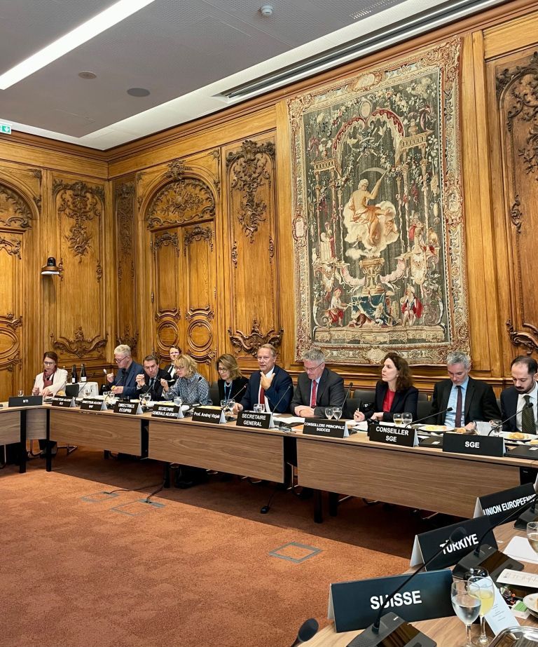 OECD, umetna inteligenca