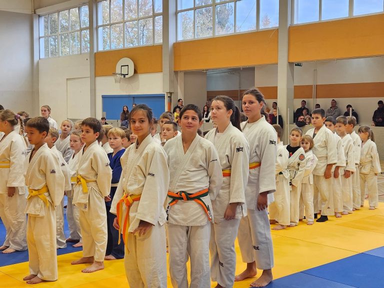 judo-klub-klima-center-tratnjek, turnir, ptuj, mini-liga