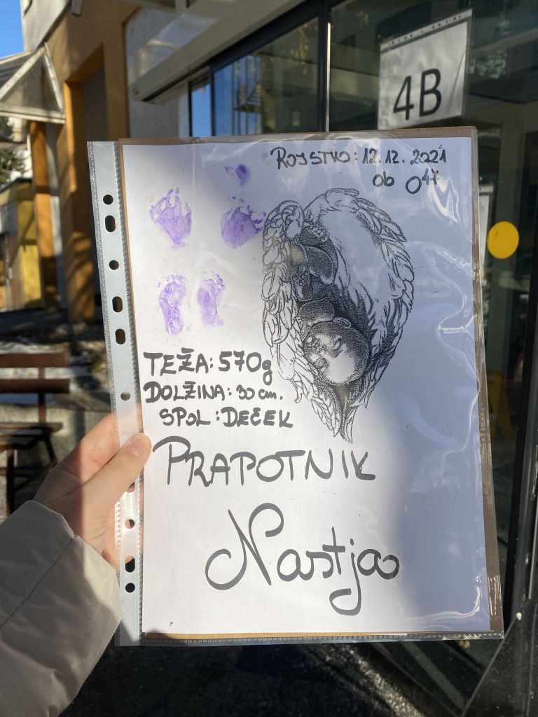 nastja-prapotnik-rotar