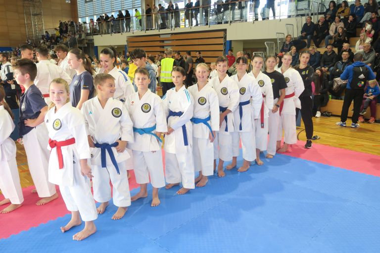 kk-soltec-brezice