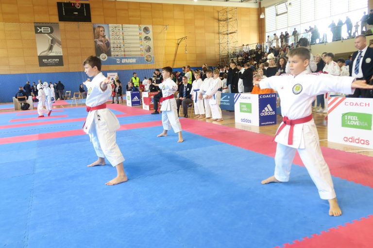 kk-soltec-brezice