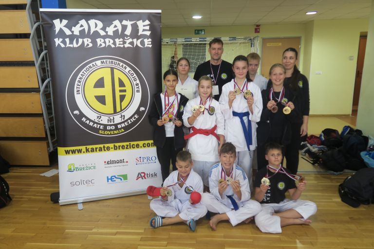 kk-soltec-brezice