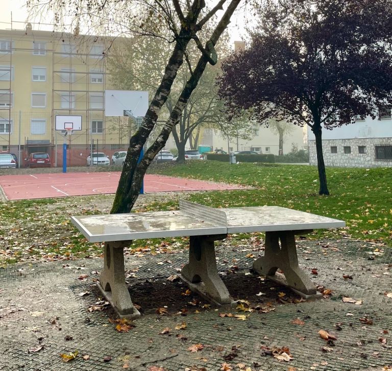 Drapšinova ulica Celje